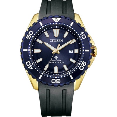 Citizen BN0196-01L