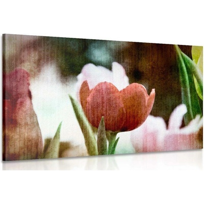 Obraz louka tulipánů v retro stylu - 120x80