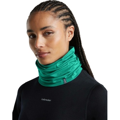 Icebreaker Merino 200 Oasis Flexi Chute fresh