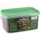 Diversa NutriPlant 5 l