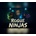 Rogue Ninjas