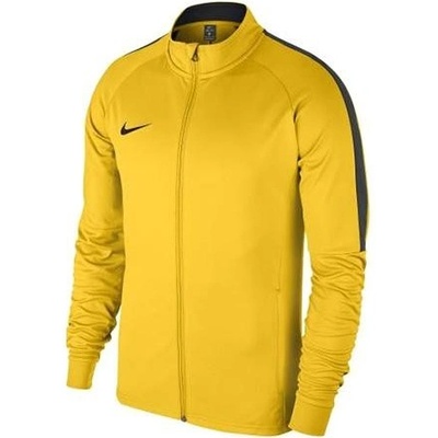 Nike Dry Academy 18 Track Junior