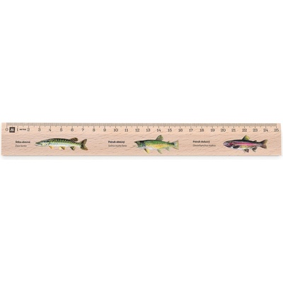 Metrie Didakt-M07 Dřevěné pravítko s potiskem S motivem ryb 25 cm