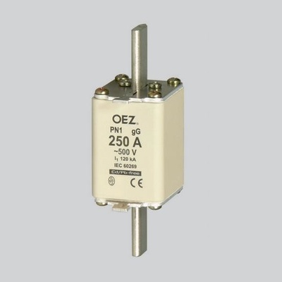OEZ PN1 100A gG 7233