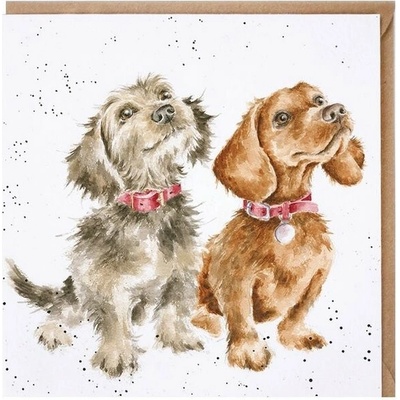 Wrendale Designs Přání Wrendale Designs "Treat Time ", 15x15 cm - Pejsci