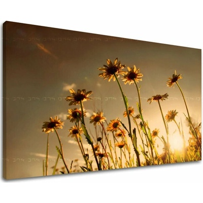 Obraz na stenu KVETY - 20x30