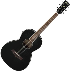 Ibanez PN14MHE-WK