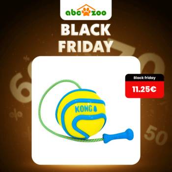 Kong Wavz Bunjiball Assorted M