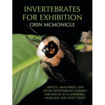 Image 1 of Invertebrates For Exhibition | Orin McMonigle