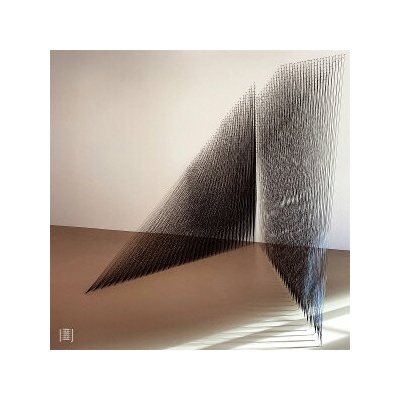 Oren Ambarchi - Prophetic Perfectr Tense LP