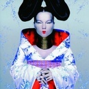 BJORK: HOMOGENIC CD