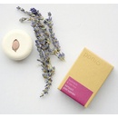 Ponio tuhý šampon Levandule & tea tree 30 g