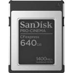 SanDisk PRO-CINEMA 640GB (SDCFEC-640G-GN4NN)