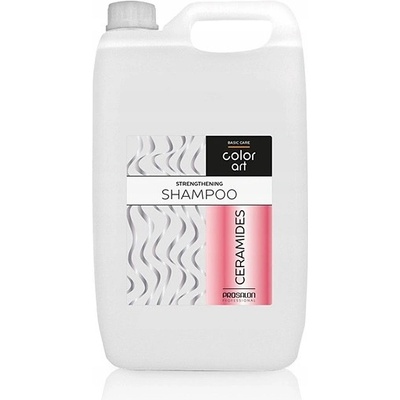 Prosalon ColorArt Šampon posilující s ceramidy 5000 ml