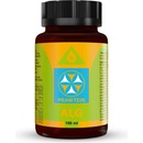 Bewit Prawtein Alg 100 ml