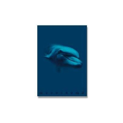 Monocromo Školní sešit Blue A5 linkovaný