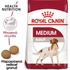 Royal Canin Medium Adult 10 kg
