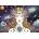 Alipson Puzzle - Puzzle The Astral Goddess - 1 000 piese
