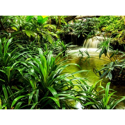 Ag Design FTNXXL-2491 Vliesová fototapeta Přírodní laguna rozměry 360 x 270 cm