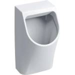 Geberit Smyle - Писоар, заден вход, бял 500.254. 01.1 (500.254.01.1)