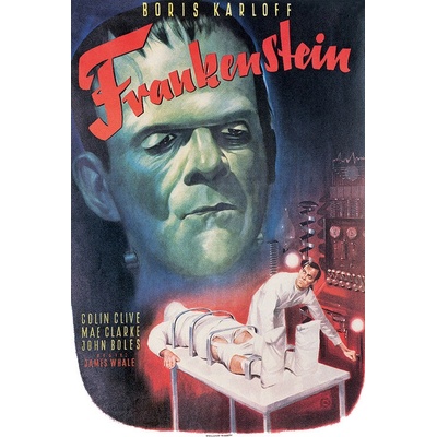 Plagát, Obraz - Frankenstein, 61 × 91.5 cm