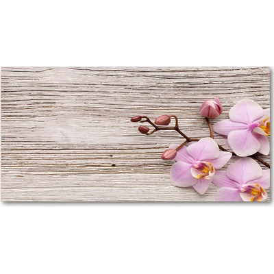 Moderný sklenený obraz z fotografie Orchidea a na strome 100x50 cm