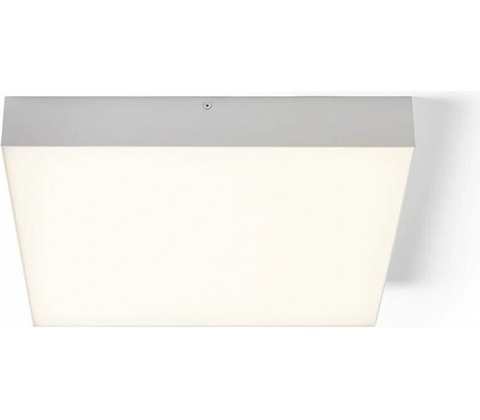 RENDL R13489