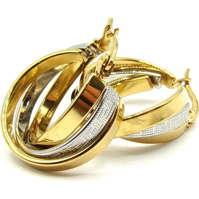 Steel Jewelry Náušnice KRUHOVÉ VISACÍ Gold z Chirurgické oceli NS250142