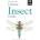 Concise Insect Guide - Bloomsbury