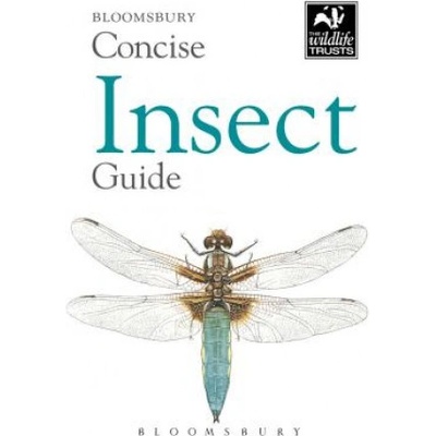 Concise Insect Guide - Bloomsbury