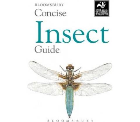 Concise Insect Guide - Bloomsbury