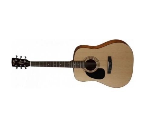 Cort AD810