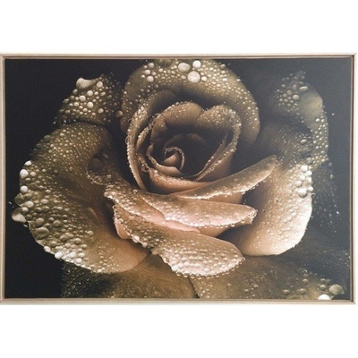 Bondecor Obraz na plátně v rámu černobílý "Rosa na květu růže" 84x59cm Barva: Černý rám