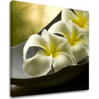 Obraz na stenu FENG SHUI - 30x30 cm
