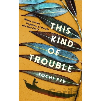 This Kind of Trouble - Tochi Eze
