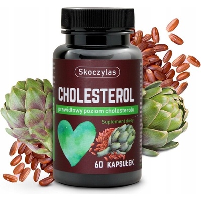 Skoczylas cholesterol 60 kapsúl