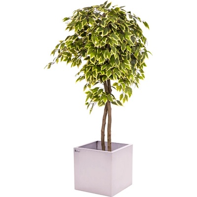 Umelý strom- Fikus panašovaný 180cm
