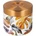 QUOKKA Whim Food Jar - Thermal Lunchbox/Dinner Thermos 600 ml (Autumn)