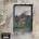 Led Zeppelin - IV (LP) (81227965778)