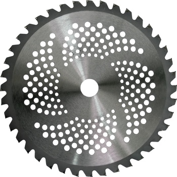 Image 1 of Raider Диск за моторна коса TCT 40T O255x25.4 mm (110230)