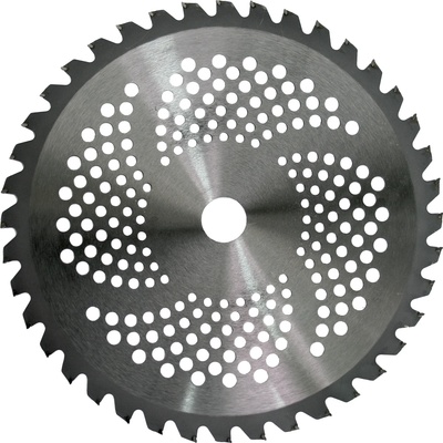 Raider Диск за моторна коса TCT 40T O255x25.4 mm (110230)