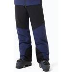 Oakley Мъжки скиорски панталони Oakley Canopy Pro Insulated abyss/black