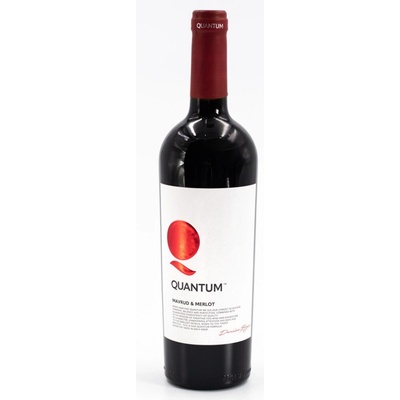 Domaine Boyar Quantum Mavrud x Merlot červená 2023 14% 0,75 l (čistá fľaša)