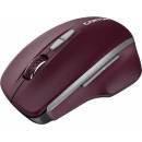 Canyon CNS-CMSW21BR