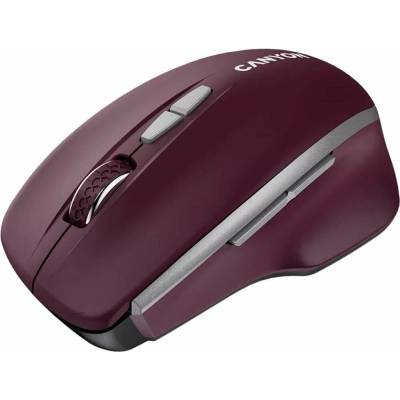 Canyon CNS-CMSW21BR