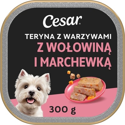 Cesar polievka so zeleninou s teľacím mäsom a mrkvou 300 g