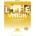 Life Vision Upper-Intermediate Workbook + On-line