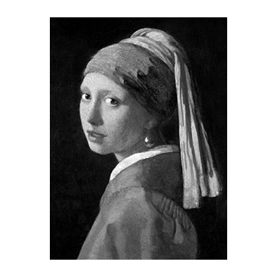 Vermeer - Phaidon Classics - Ludwig Goldscheider, Wayne Franits - Hardcover