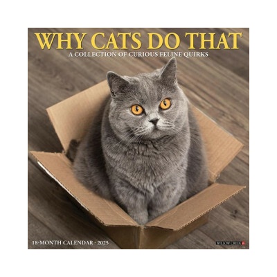Why Cats Do That 12 X 12 Wall 2026