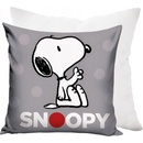 Carbotex Snoopy 40 x 40 cm